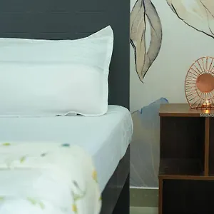 Apartment A/c With Queen Bed Gachibowli *