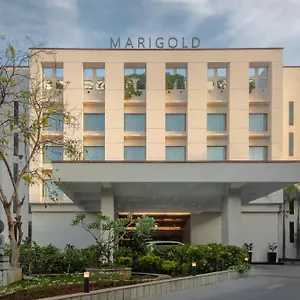 Marigold