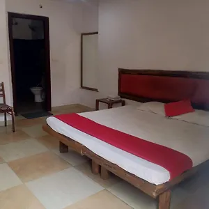 Damus Rainbow 5* Hyderabad